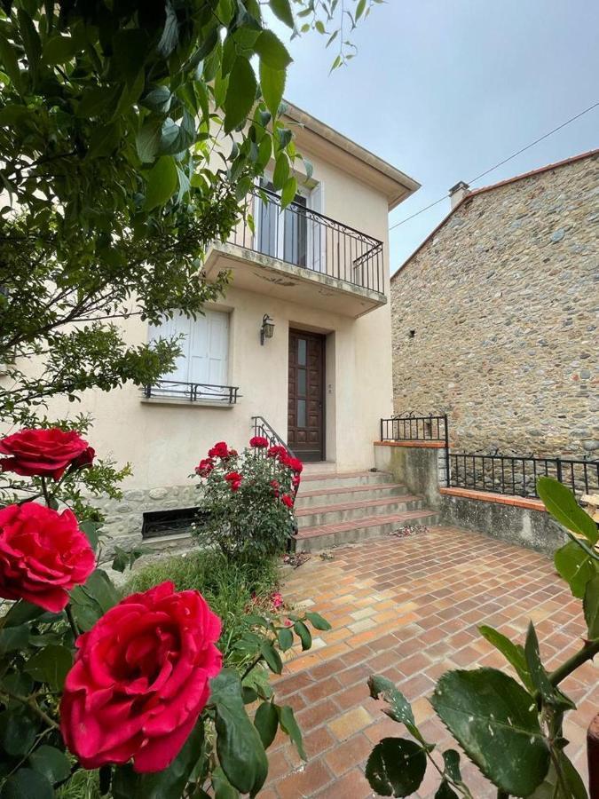 Lg Rite Appartement Avec Jardin Prades  Eksteriør bilde